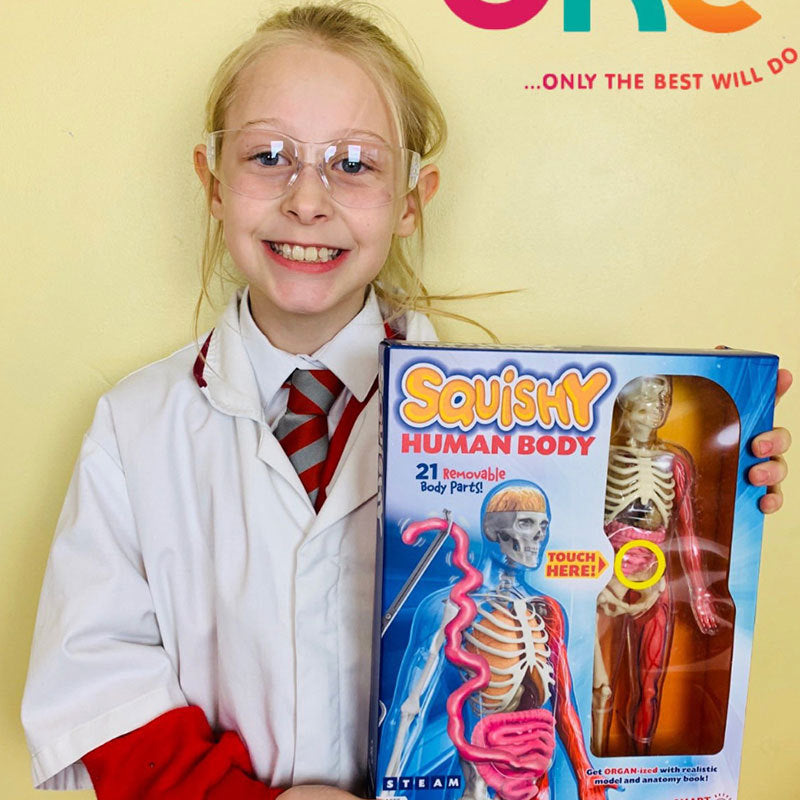 Assemble Human Organ 3D Model Toy Experimental Materials