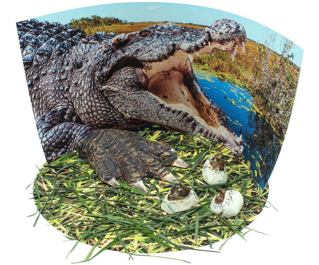 Extreme Crocodiles of the World