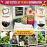 Organo Republic 25 Most Popular Vegetable Seeds Variety Pack
