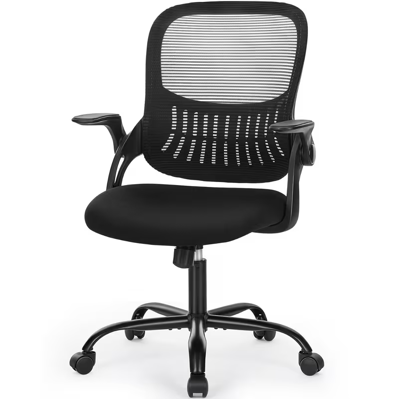Ergonomic Desk Chair with Lumbar Support | Flip-up Arms | Black