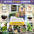 35 Medicinal & Tea Herb Seeds Variety Pack