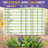 35 Medicinal & Tea Herb Seeds Variety Pack