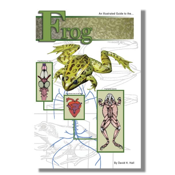 Anatomy Lab Frog Dissection Study Kit with Dissection Guide