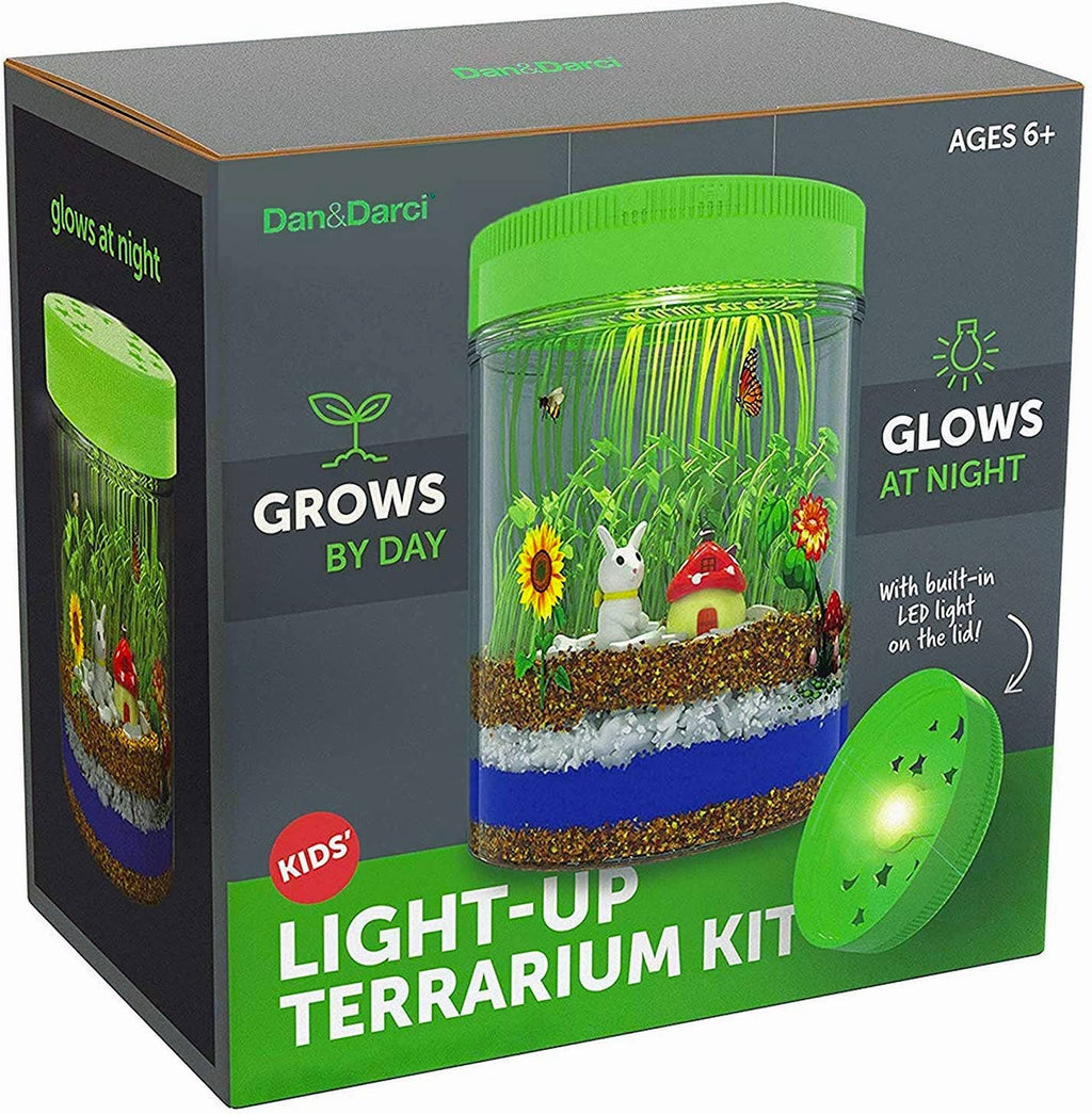 Light-Up Terrarium Kit STEM Project