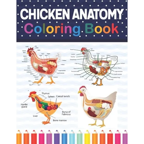 Chicken Anatomy Coloring Book: Chicken Anatomy and Veterinary Physiology Coloring Book. The New Surprising Magnificent Learning Structure For Veterin