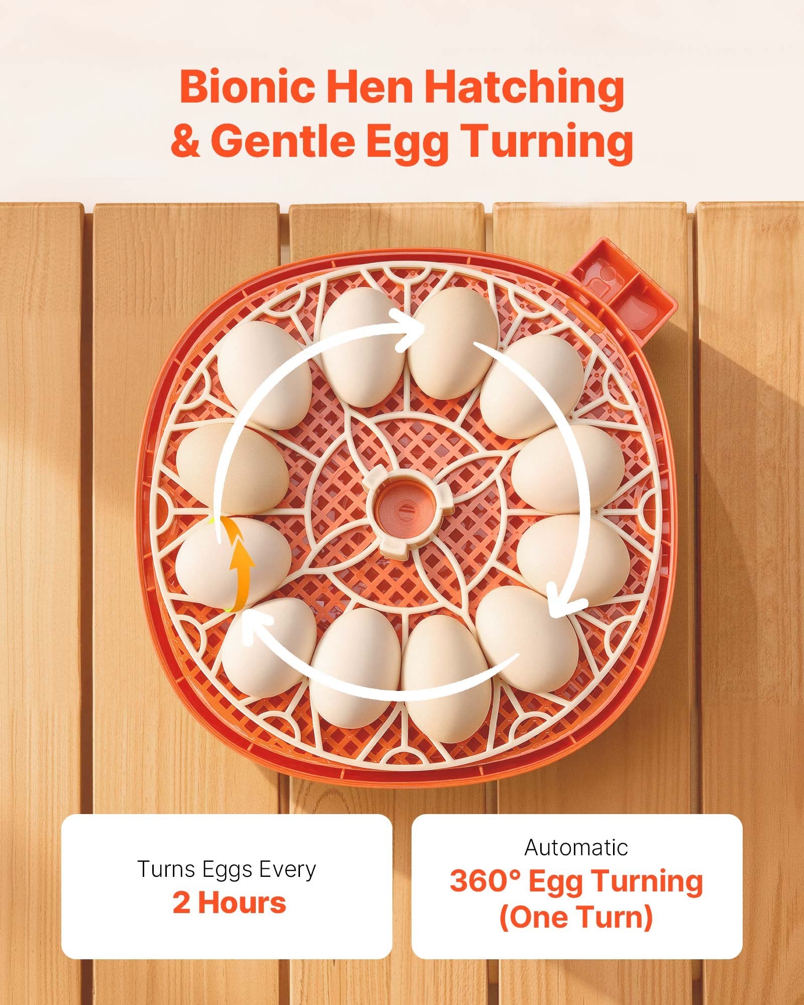 12 Egg Incubator, Automatic Egg Turner With LED Candler