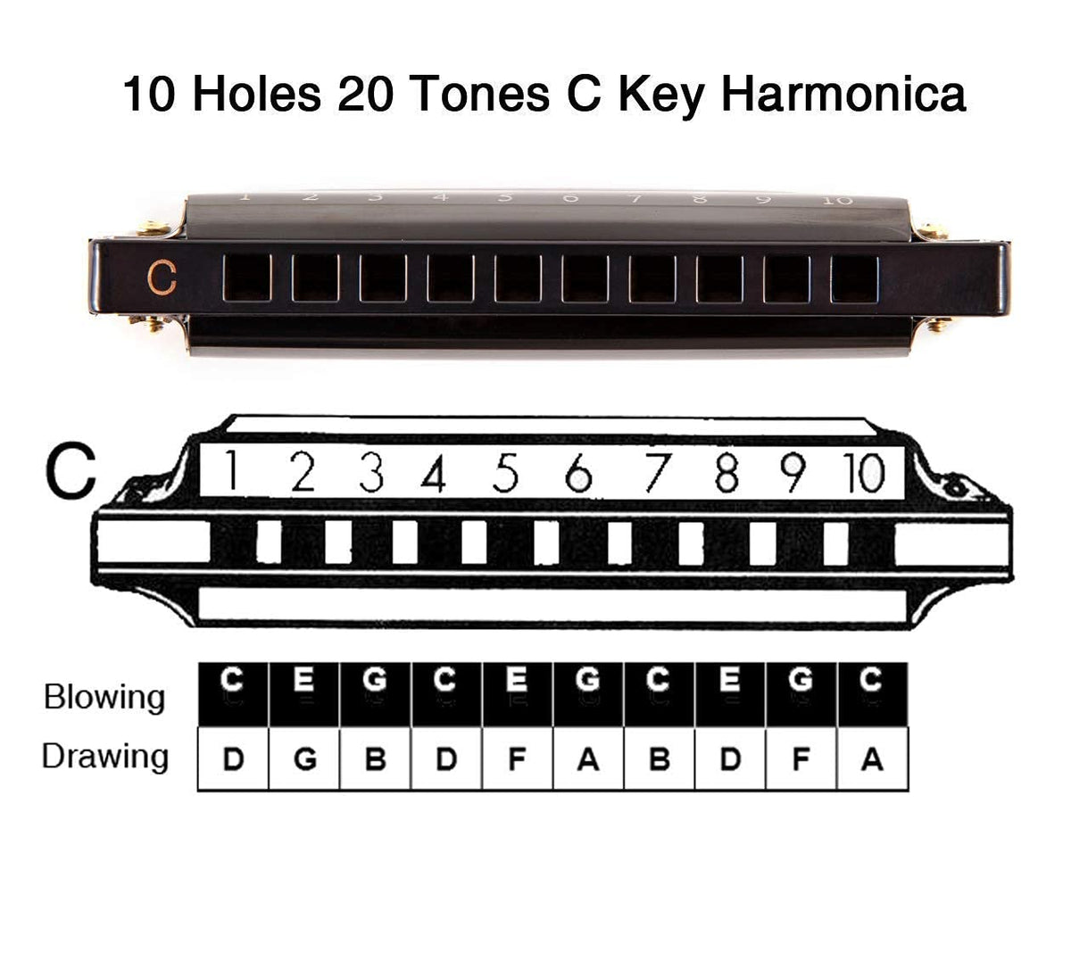 EastRock 10 Hole Blues Harmonica C Key Black with Case for Adults Beginner