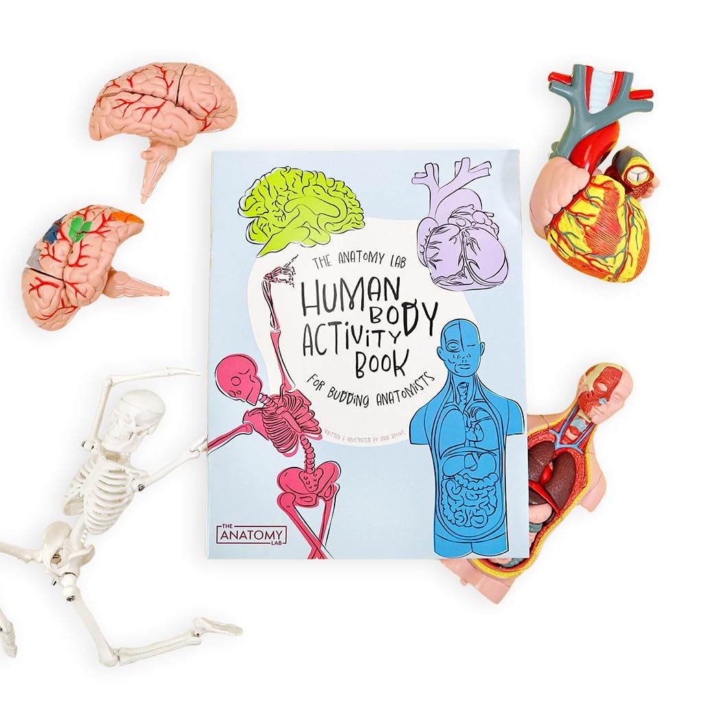 Anatomy Lab Human Body Model Kit for Kids