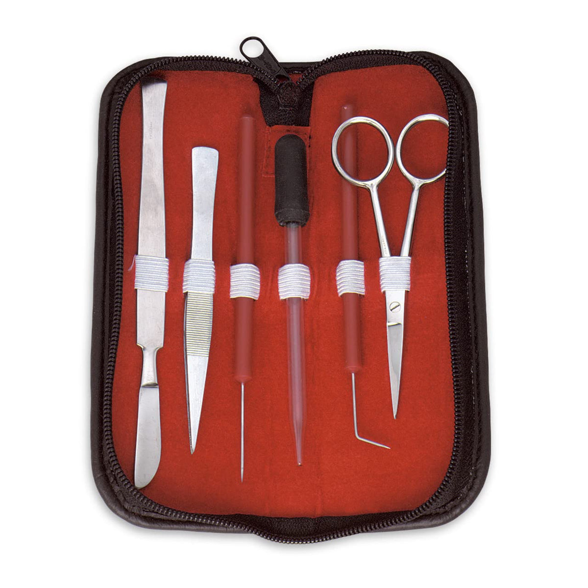 Anatomy Lab Sheep Heart Dissection Kit with Scalpel Dissection Guide