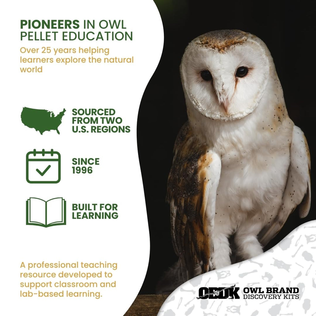 Barn Owl Pellets for Dissection, Solo Essentials Kit, Medium 1-Pack by OBDK