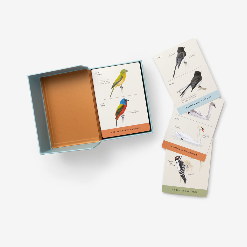 Sibley Backyard Birding Flashcards – 100 North American Birds | Bird Identification & Nature Study