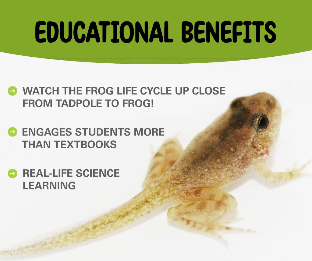 Tadpole to Frog Kit with Book With Certificate for Tadpoles