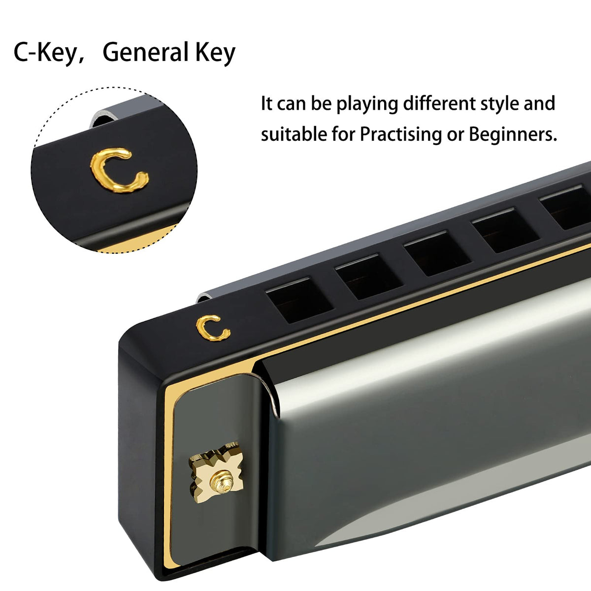 EastRock 10 Hole Blues Harmonica C Key Black with Case for Adults Beginner