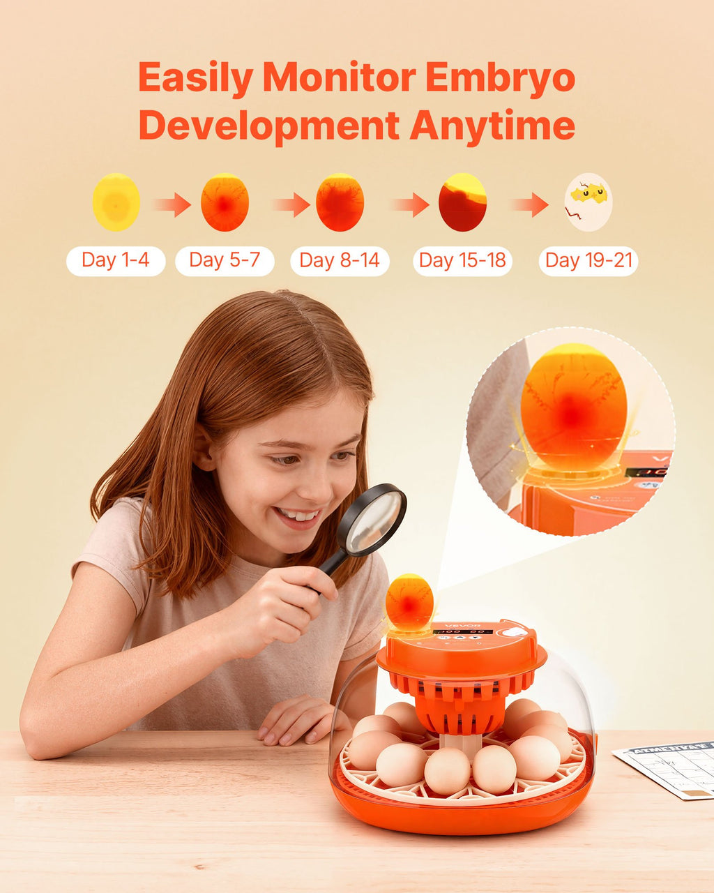 12 Egg Incubator, Automatic Egg Turner With LED Candler