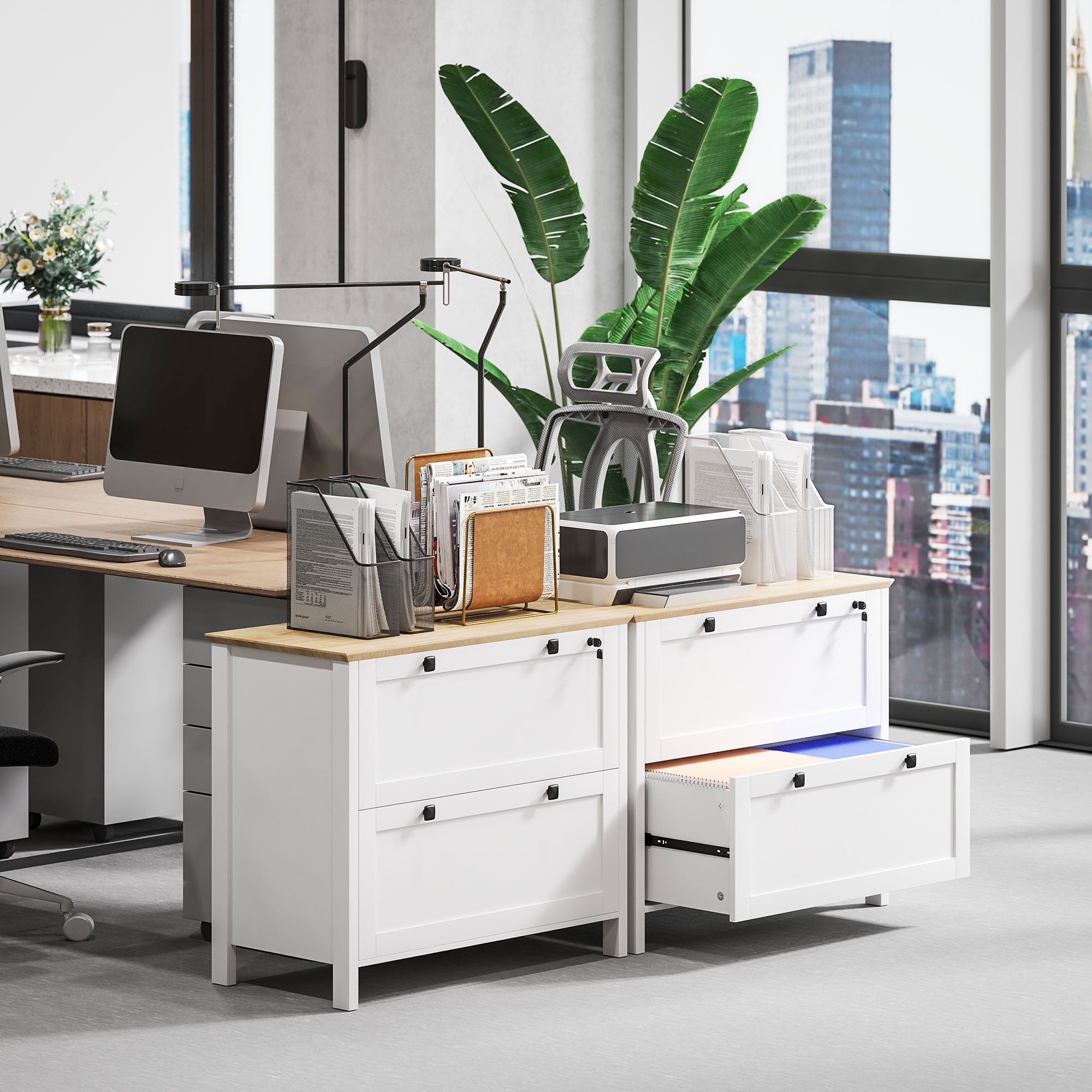 Lateral File Cabinet, 2 Drawer Filing Cabinet, White