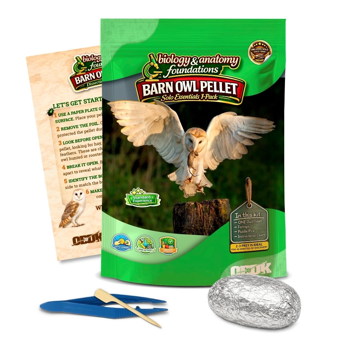 Barn Owl Pellets for Dissection, Solo Essentials Kit, Medium 1-Pack by OBDK