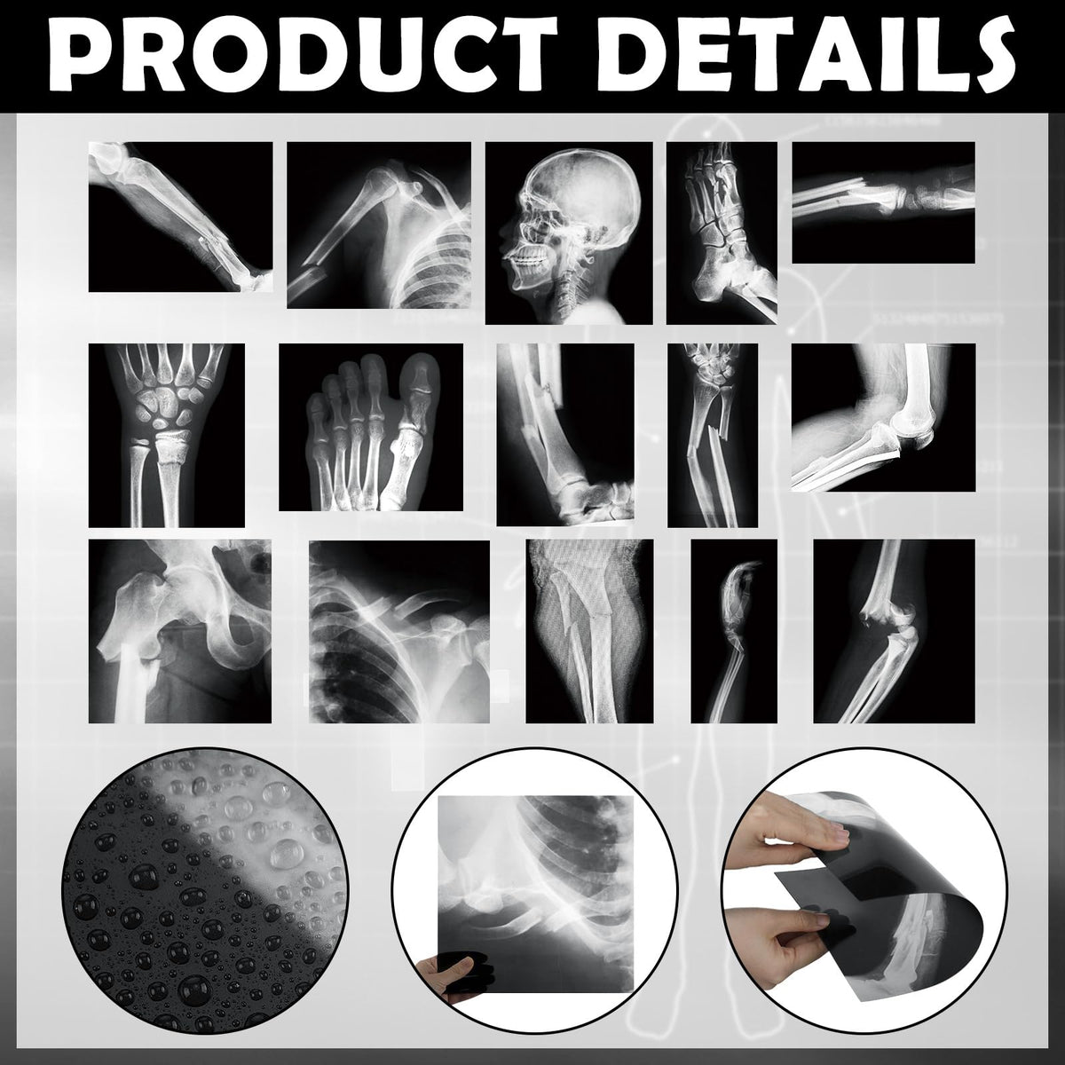 Sayglossy 15 Pcs Human X-Rays Black and White Skeleton Anatomy Set
