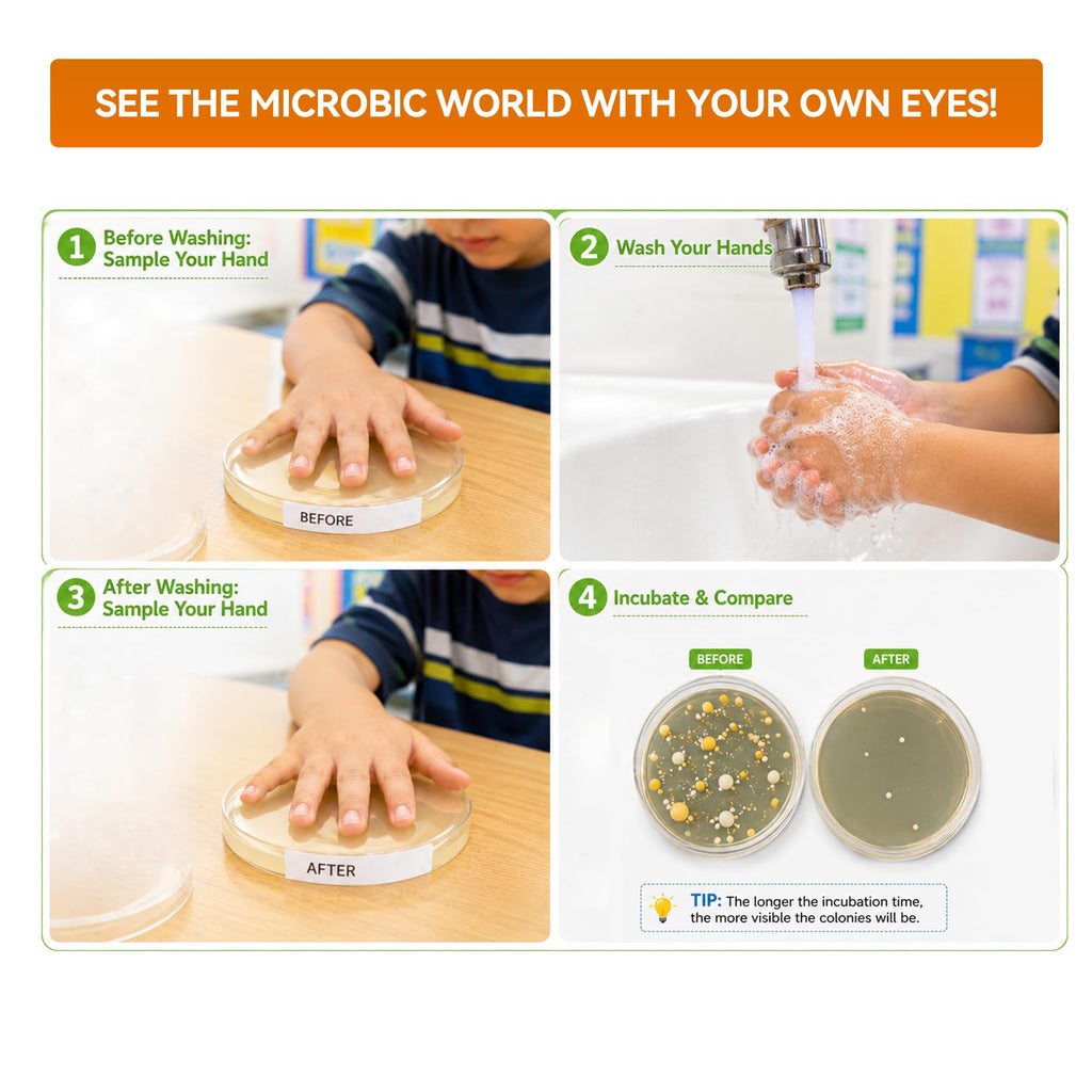 Kids Bacteria Handprint Kit - 2 Giant 150mm Prepoured Agar Petri Dishes