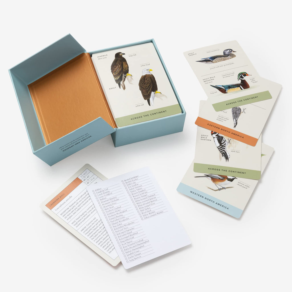 Sibley Backyard Birding Flashcards – 100 North American Birds | Bird Identification & Nature Study