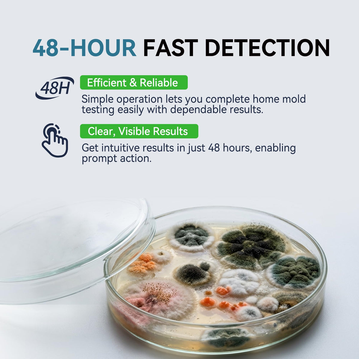 Mold Test Kit - 6 Sterile Pre-Poured Agar Plates Petri Dishes