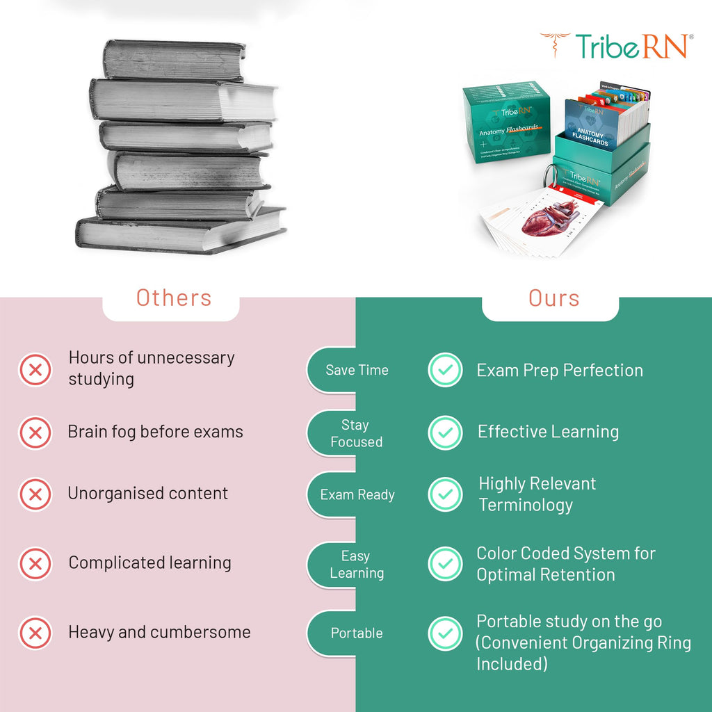 TribeRN Anatomy and Physiology Flash Cards – 320 Study Resources for Students – Human Anatomy & Physiology Study Tools – Medical, Nursing School Essentials – Durable & Easy to Use Flashcards