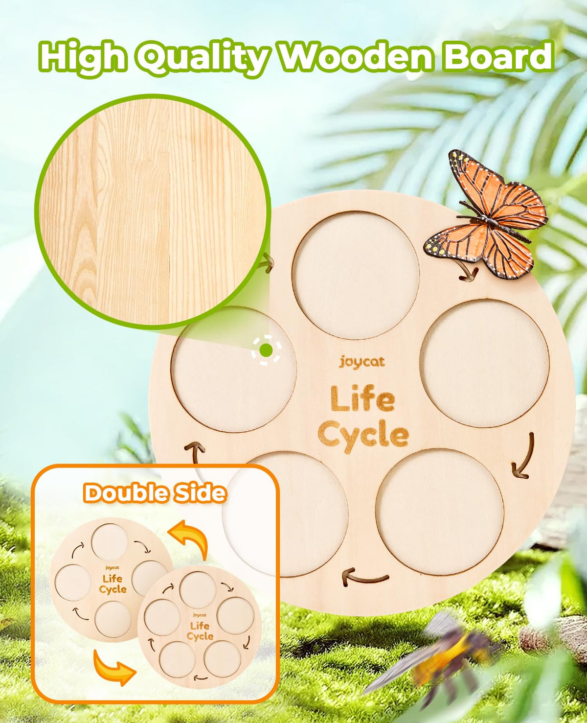 Life Cycle Learning Education Insect Caterpillar to Butterfly kit, Ladybug, Bee, Tadpole to Frog Life Cycle Activity