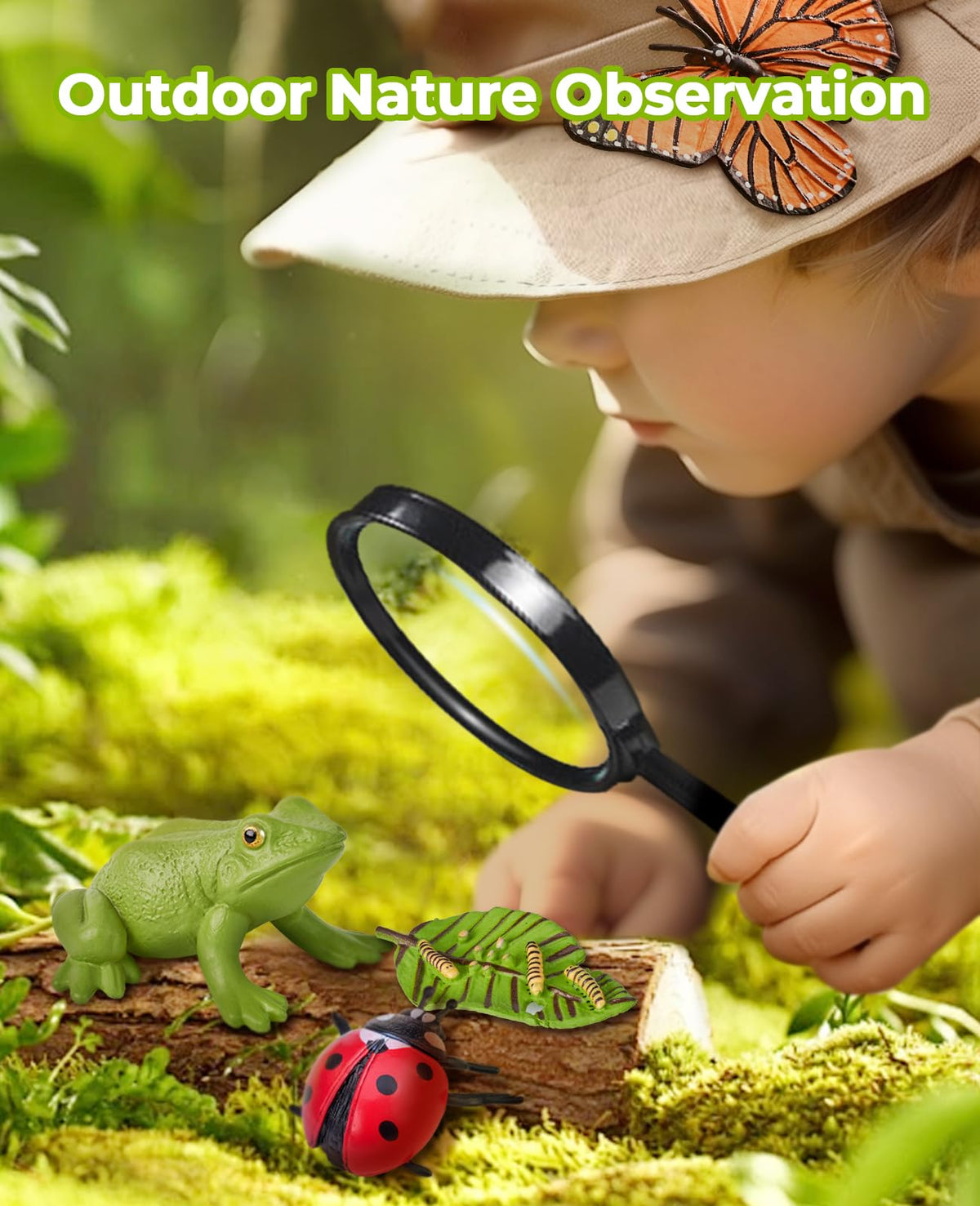 Life Cycle Learning Education Insect Caterpillar to Butterfly kit, Ladybug, Bee, Tadpole to Frog Life Cycle Activity