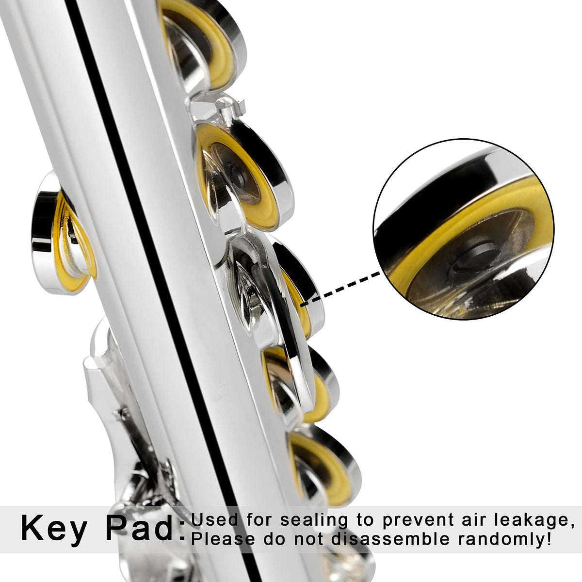 EastRock Closed Hole Flutes C 16 Key for Beginner, Kids, Student Silver Nickel Flute with Case Stand and Cleaning kit