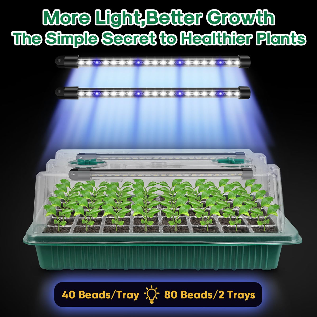 Indoor Seed Starter Kit with Full-Spectrum LED Grow Lights – 2-Tray Mini Greenhouse for Gardening & Plant Science