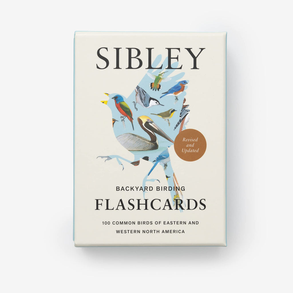 Sibley Backyard Birding Flashcards – 100 North American Birds | Bird Identification & Nature Study