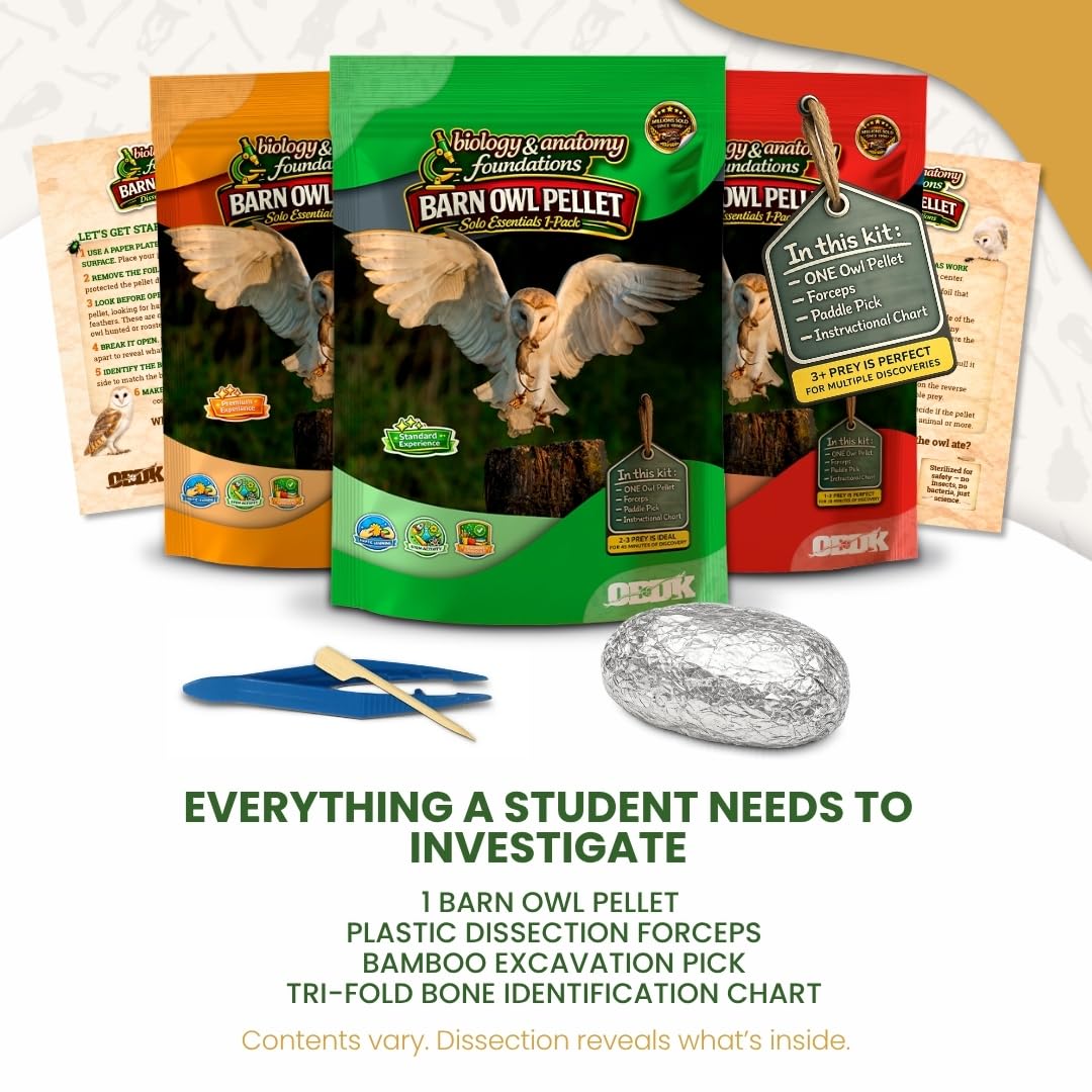 Barn Owl Pellets for Dissection, Solo Essentials Kit, Medium 1-Pack by OBDK