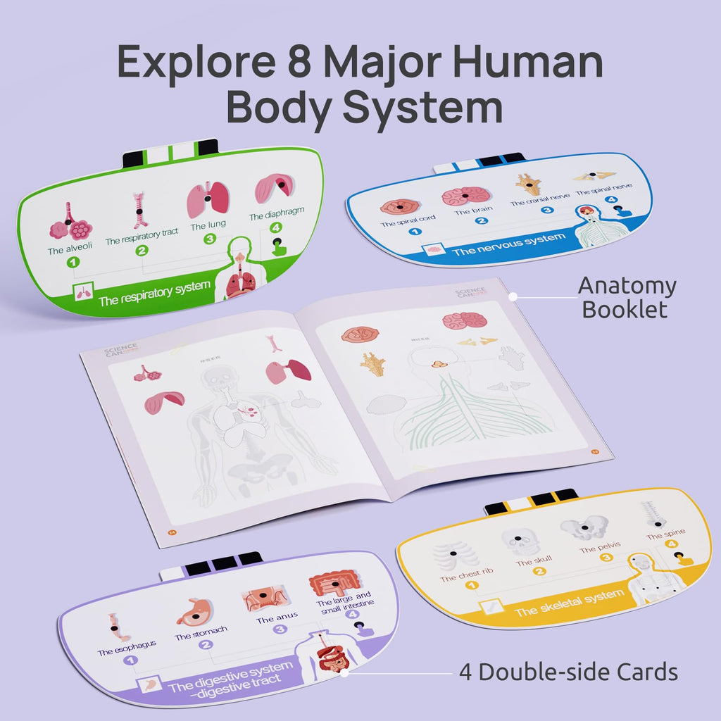 Science Can Human Body Model for Kids, Interactive Anatomy Kit