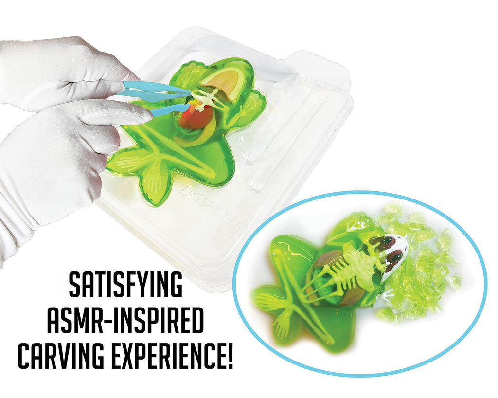 Dissect-It, Variety Animal Dissection Kit, STEM Toys for Kids, Ages 6+