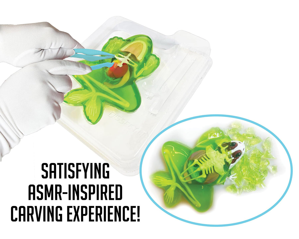 Dissect-It, Variety Animal Dissection Kit, STEM Toys for Kids, Ages 6+