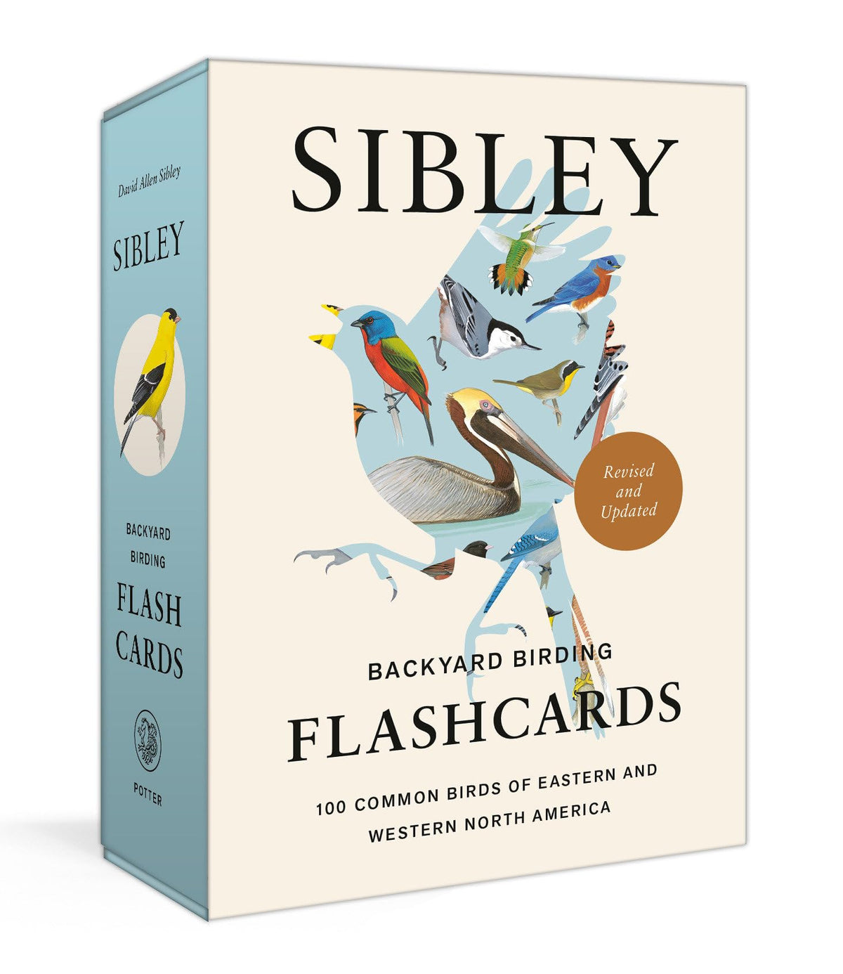 Sibley Backyard Birding Flashcards – 100 North American Birds | Bird Identification & Nature Study