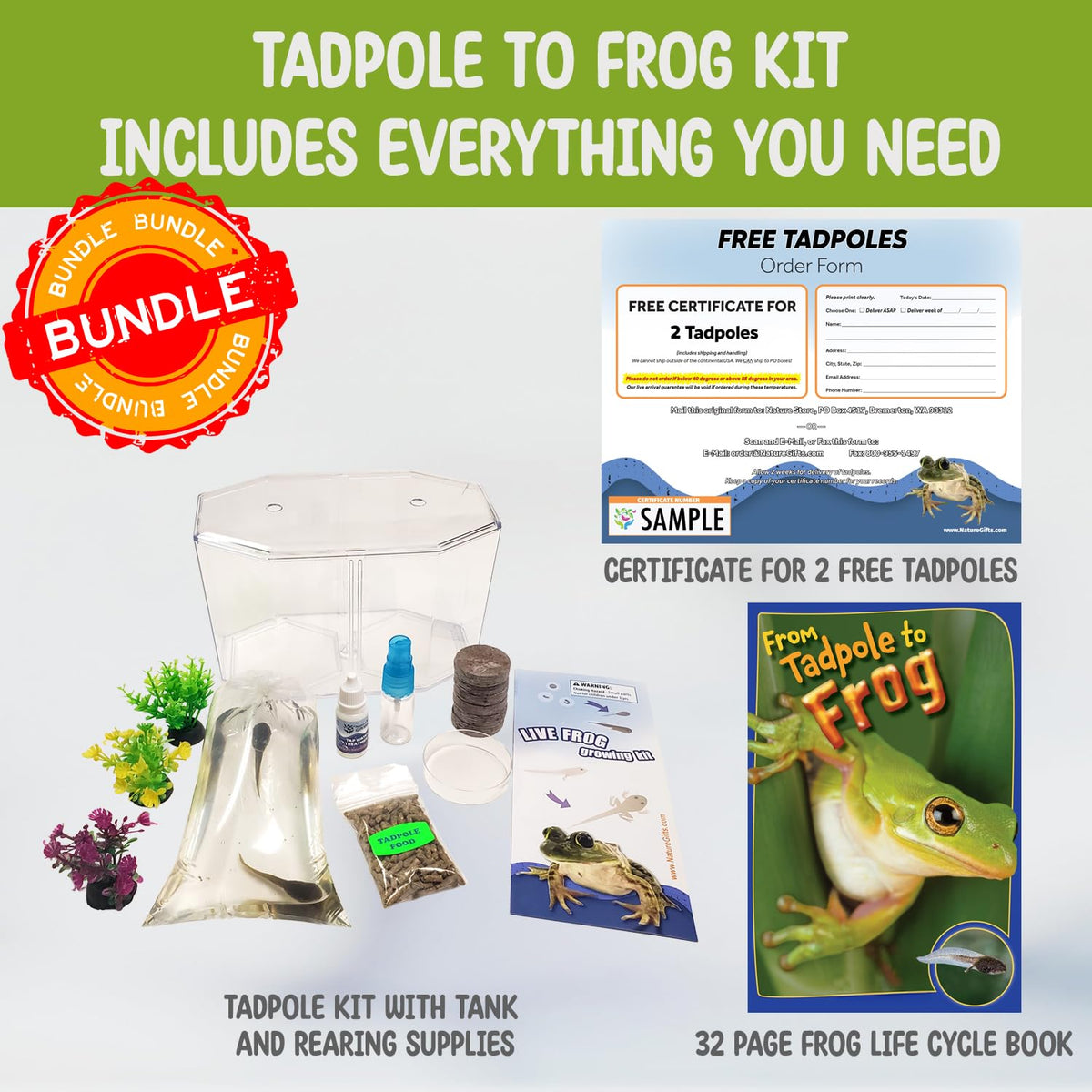 Tadpole to Frog Kit with Book With Certificate for Tadpoles