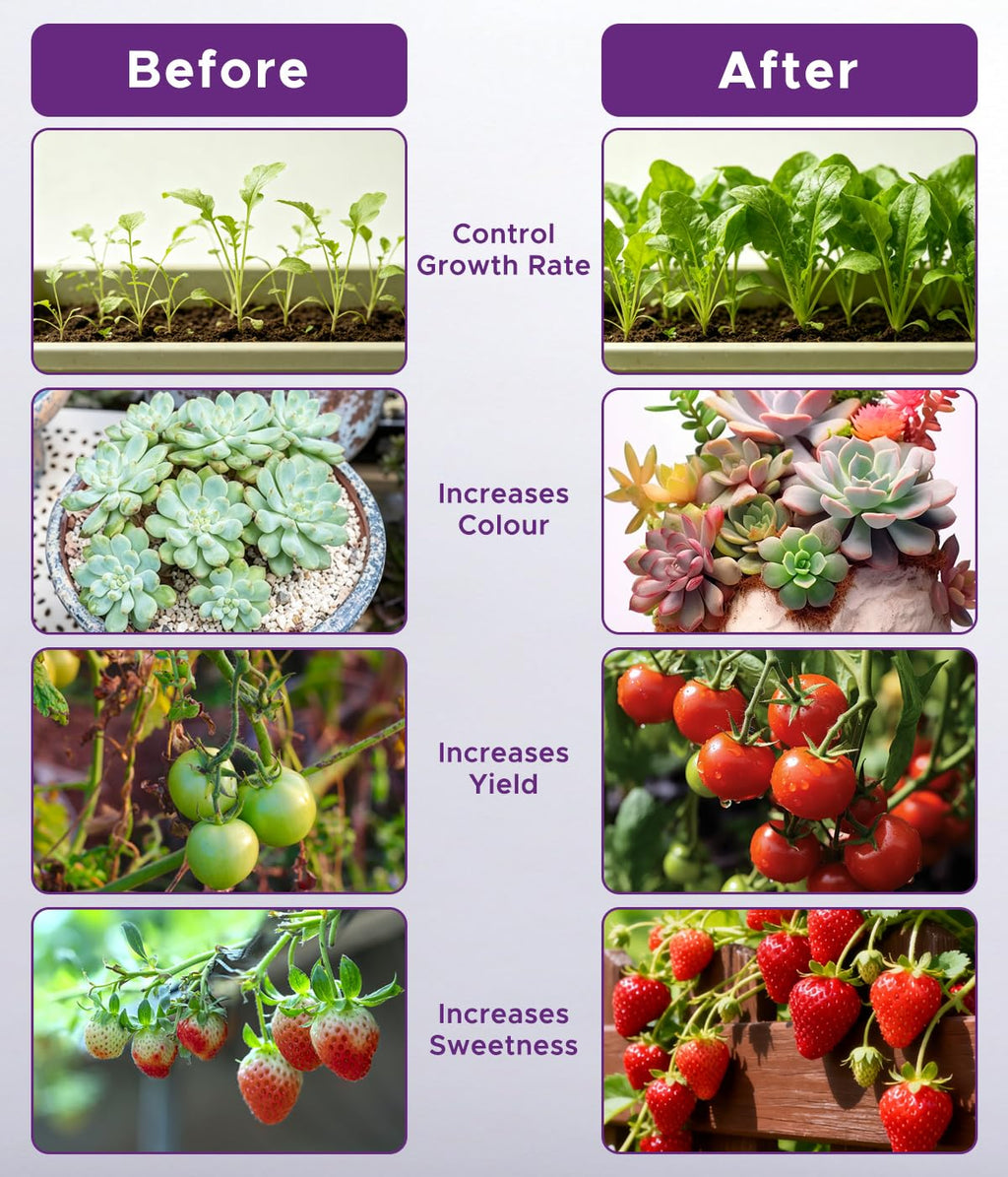 Grow Lights for Indoor Plant Projects