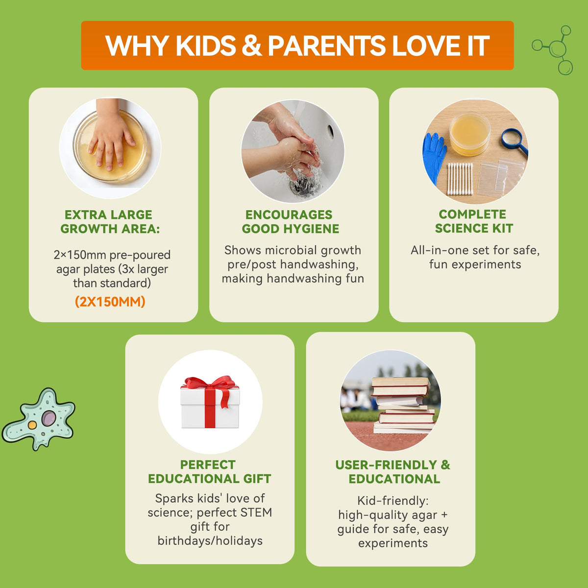 Kids Bacteria Handprint Kit - 2 Giant 150mm Prepoured Agar Petri Dishes
