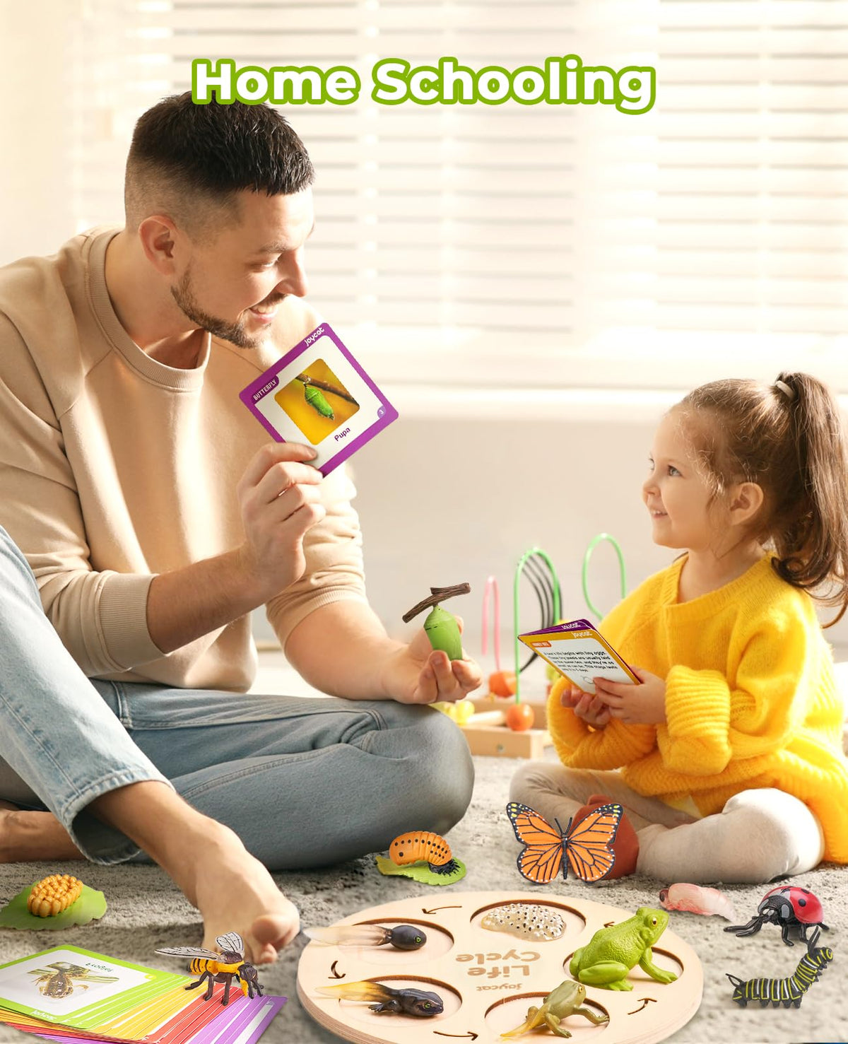 Life Cycle Learning Education Insect Caterpillar to Butterfly kit, Ladybug, Bee, Tadpole to Frog Life Cycle Activity