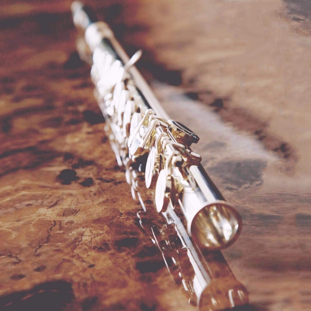 EastRock Closed Hole Flutes C 16 Key for Beginner, Kids, Student Silver Nickel Flute with Case Stand and Cleaning kit