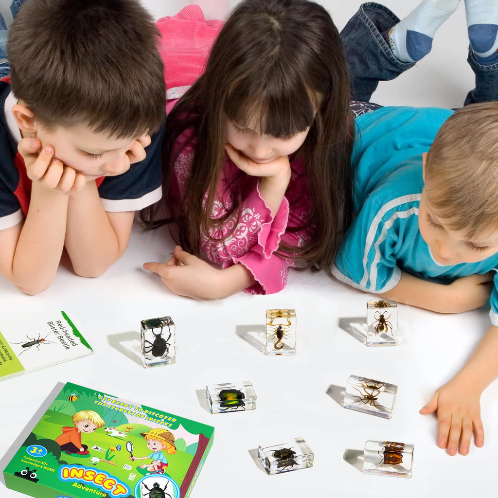 12Pcs Insect Specimens Set, Real Insect Taxidermy in Resin Specimens with Magnifier & Info Cards
