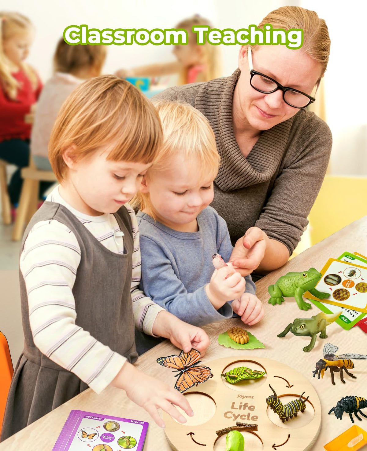 Life Cycle Learning Education Insect Caterpillar to Butterfly kit, Ladybug, Bee, Tadpole to Frog Life Cycle Activity