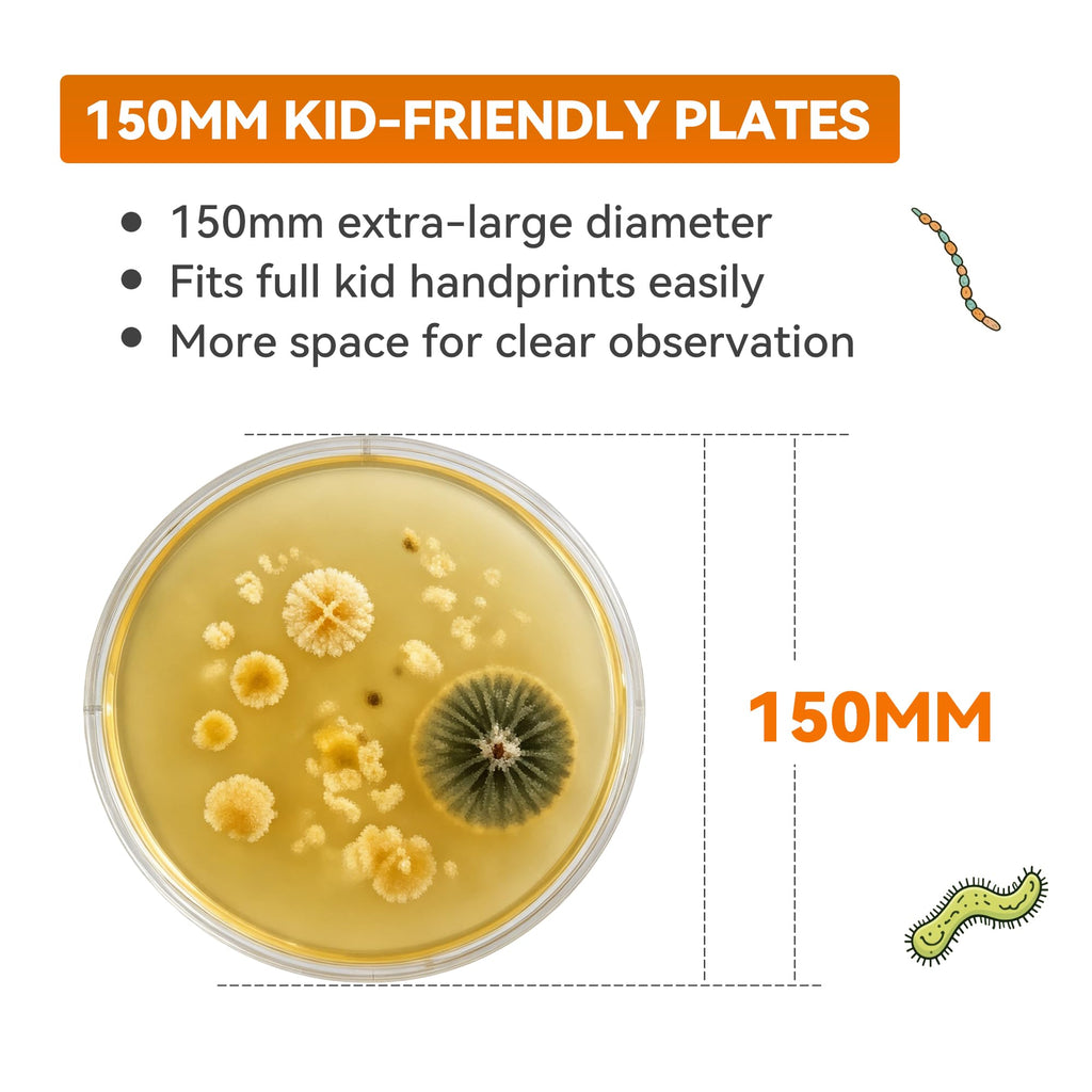 Kids Bacteria Handprint Kit - 2 Giant 150mm Prepoured Agar Petri Dishes