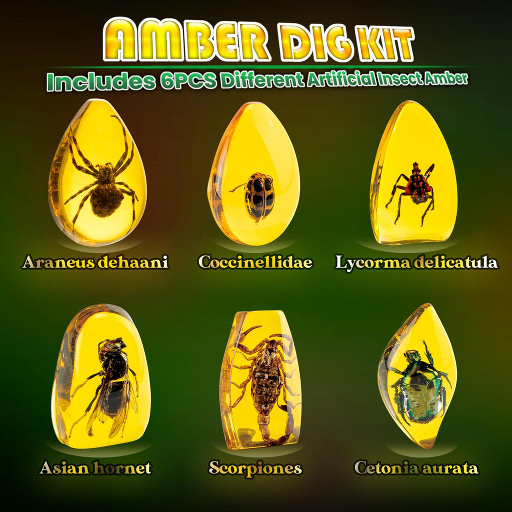 Insect Amber Dig Kit – 6-Piece Fossil Excavation STEM Science Kit