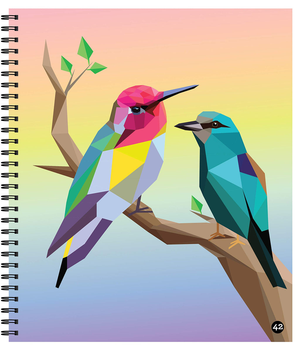 Brain Games - Sticker by Number: Birds - 2 Books in 1 (42 Images to Sticker)