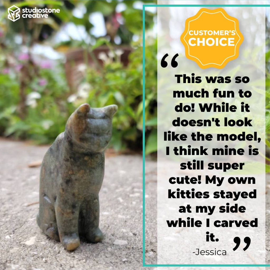 Cat Soapstone Carving Kit for Kids
