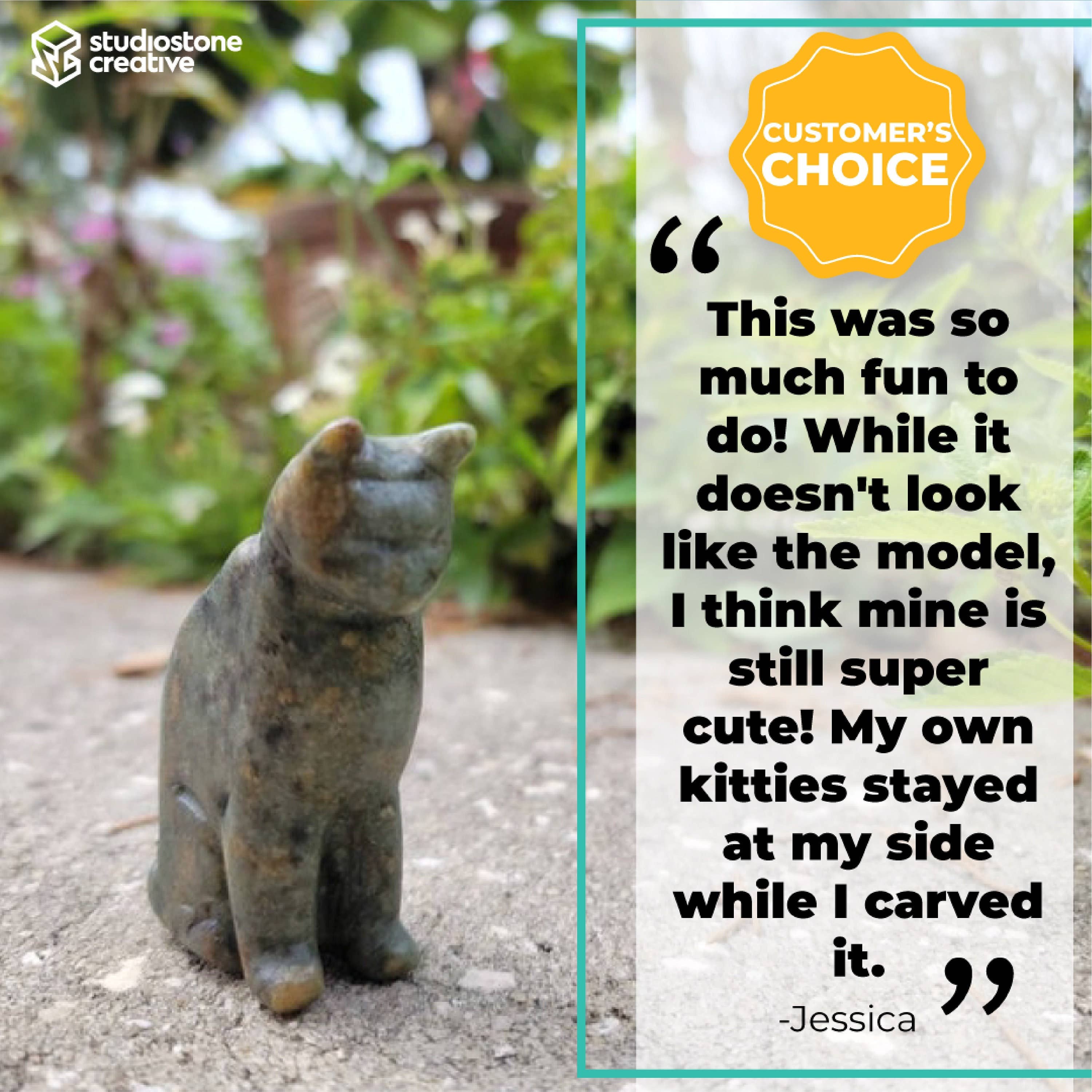 Cat Soapstone Carving Kit for Kids