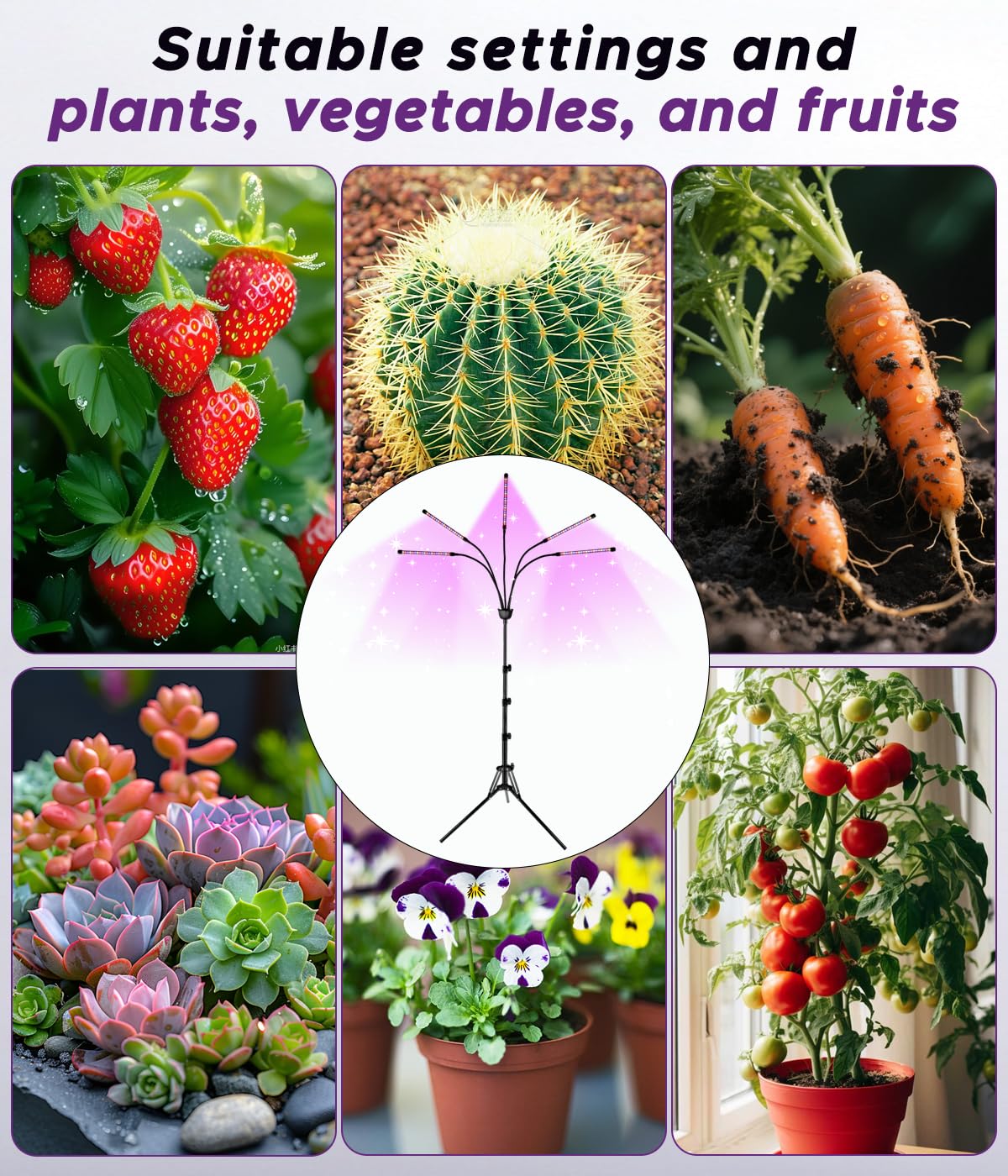 Grow Lights for Indoor Plant Projects