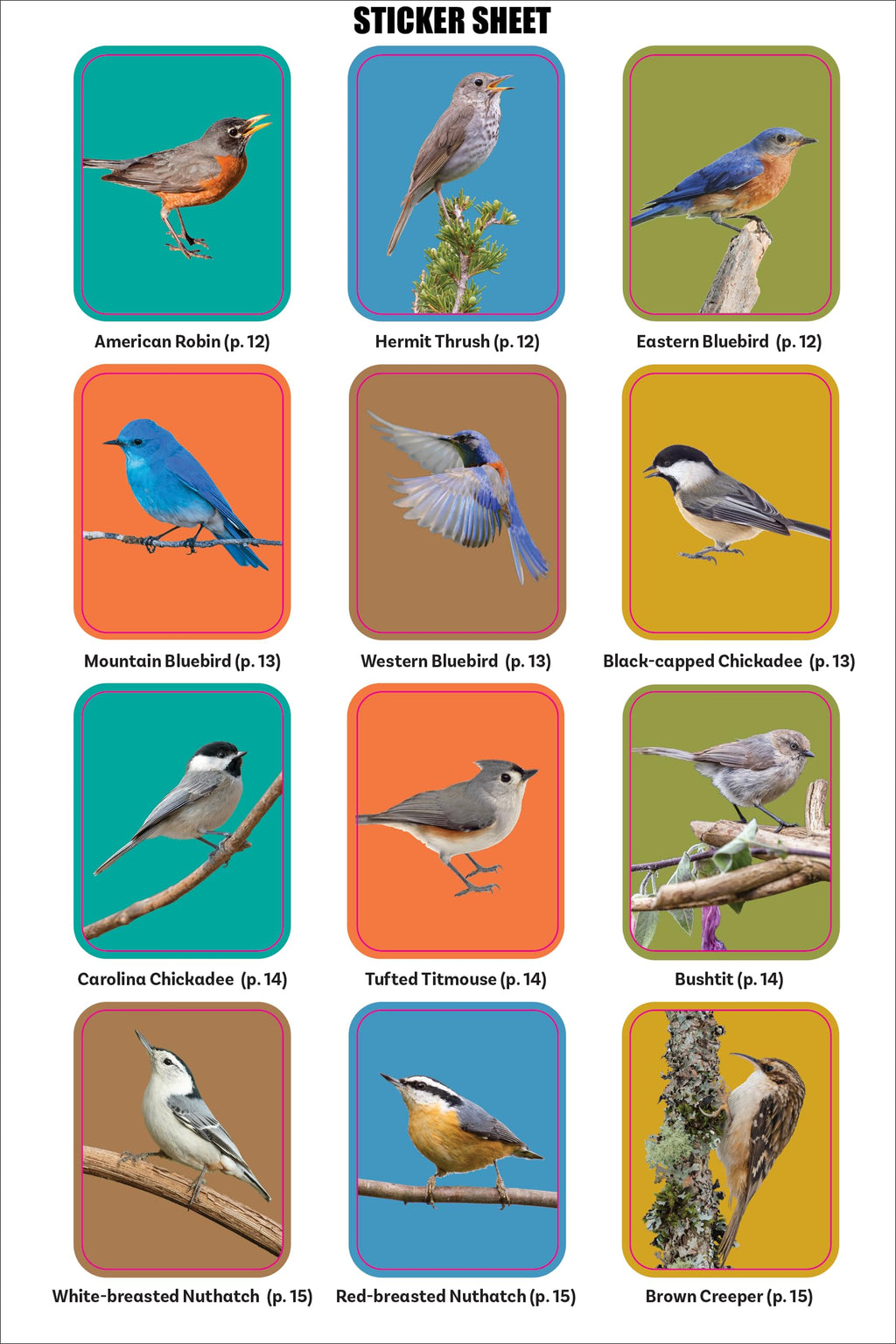 Birder's Logbook: A Seek-and-Sticker Book for Budding Ornithologists (comes with 100 full-color stickers of birds!)