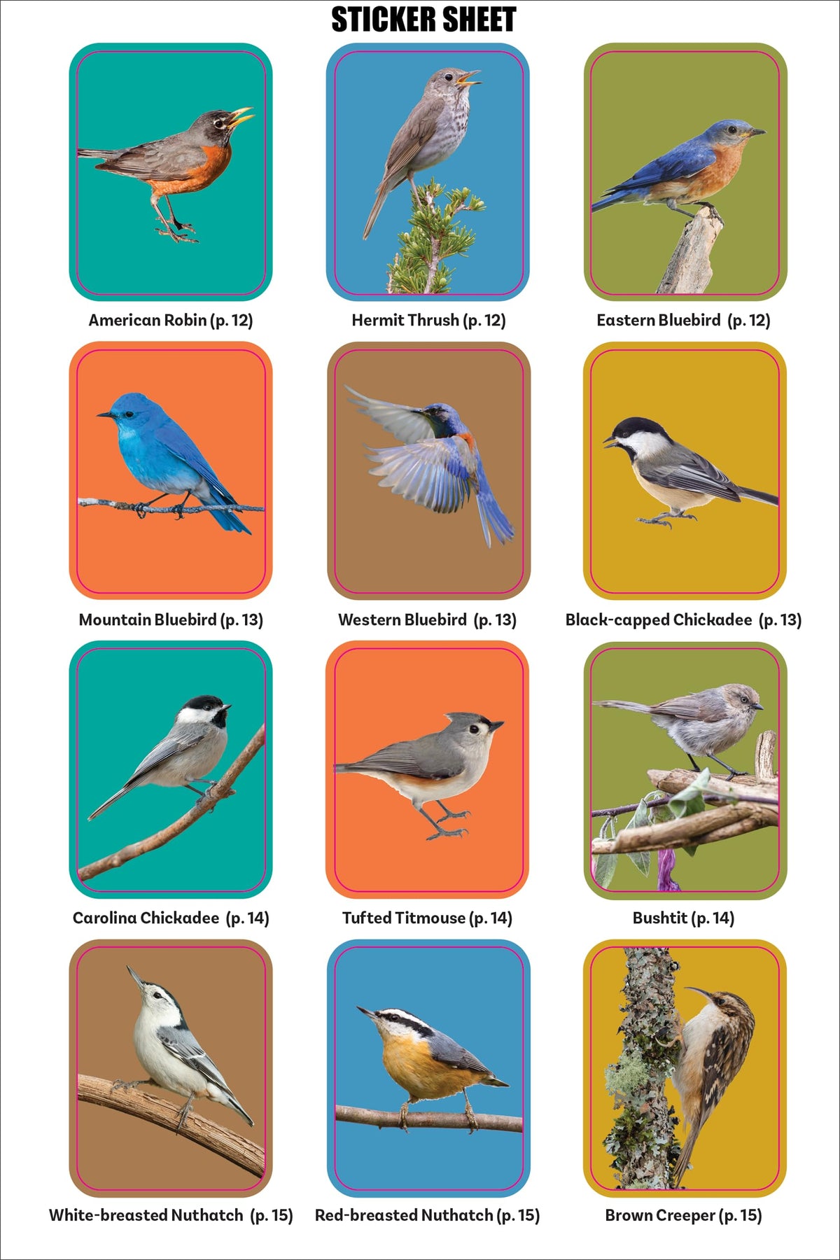 Birder's Logbook: A Seek-and-Sticker Book for Budding Ornithologists (comes with 100 full-color stickers of birds!)